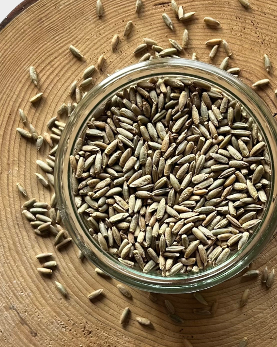 Žito BIO – z rakouské biofarmy